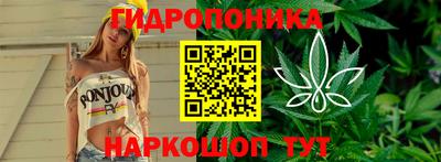 мяу мяу кристалл Гусь-Хрустальный