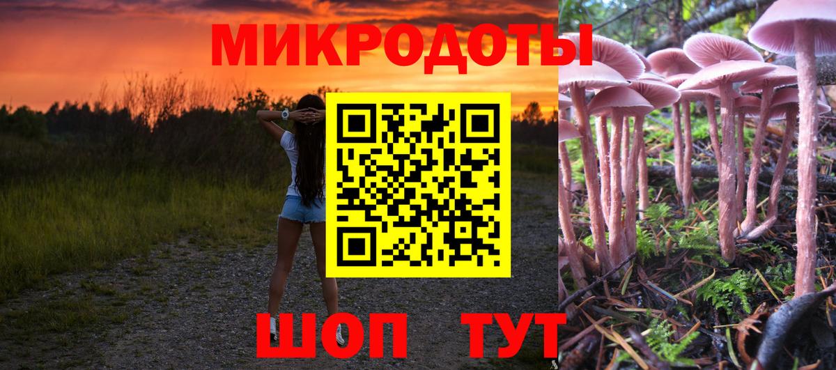Галлюциногенные грибы ЛСД Мурманск